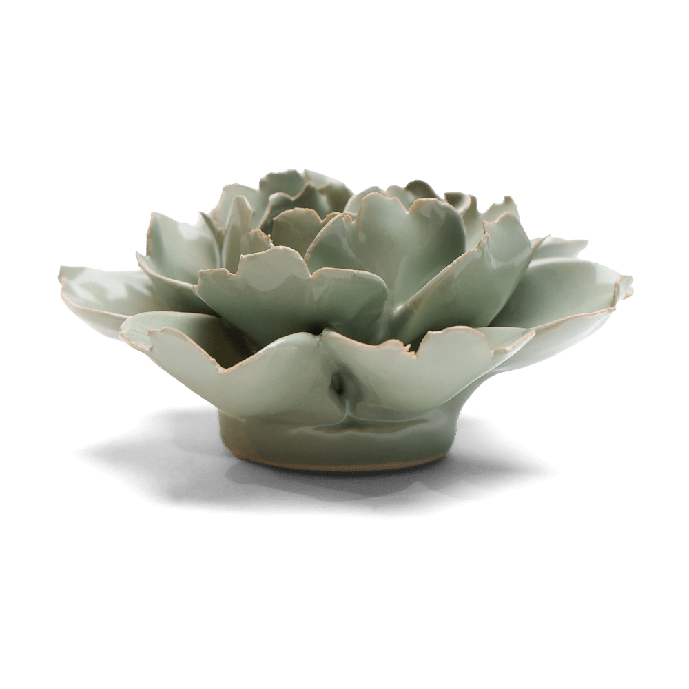 English Garden Ceramic Flower Green Rose - Chive UK