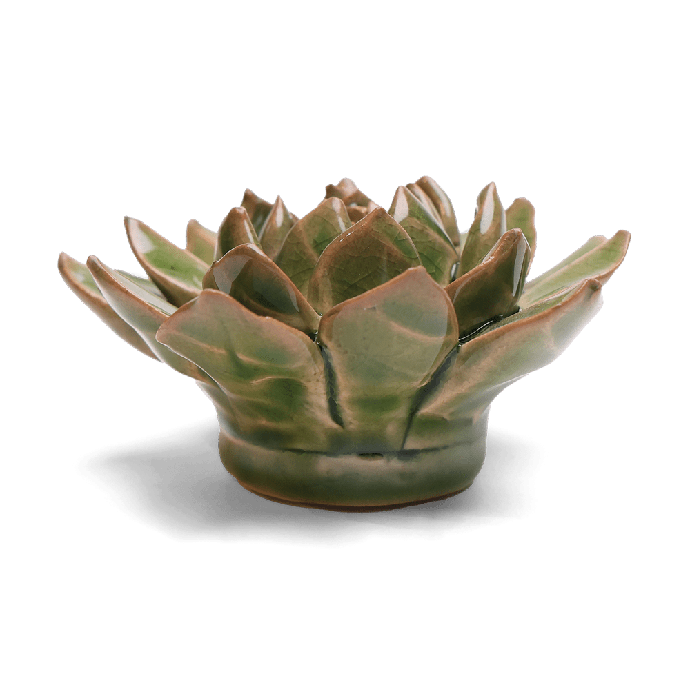 English Garden Ceramic Flower Green Small Succulent - Chive UK