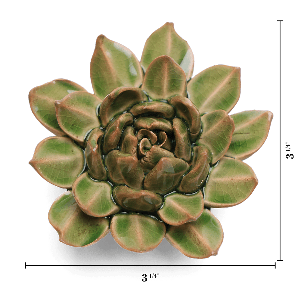 English Garden Ceramic Flower Green Small Succulent - Chive UK