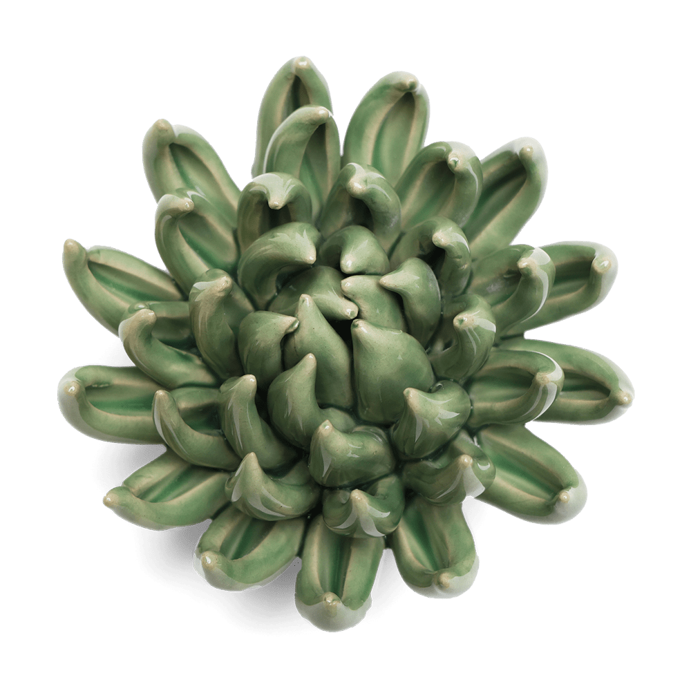 English Garden Ceramic Flower Green Large Succulent - Chive UK