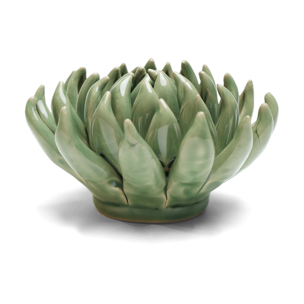 English Garden Ceramic Flower Green Large Succulent - Chive UK