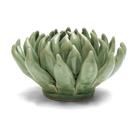 English Garden Ceramic Flower Green Large Succulent - Chive UK