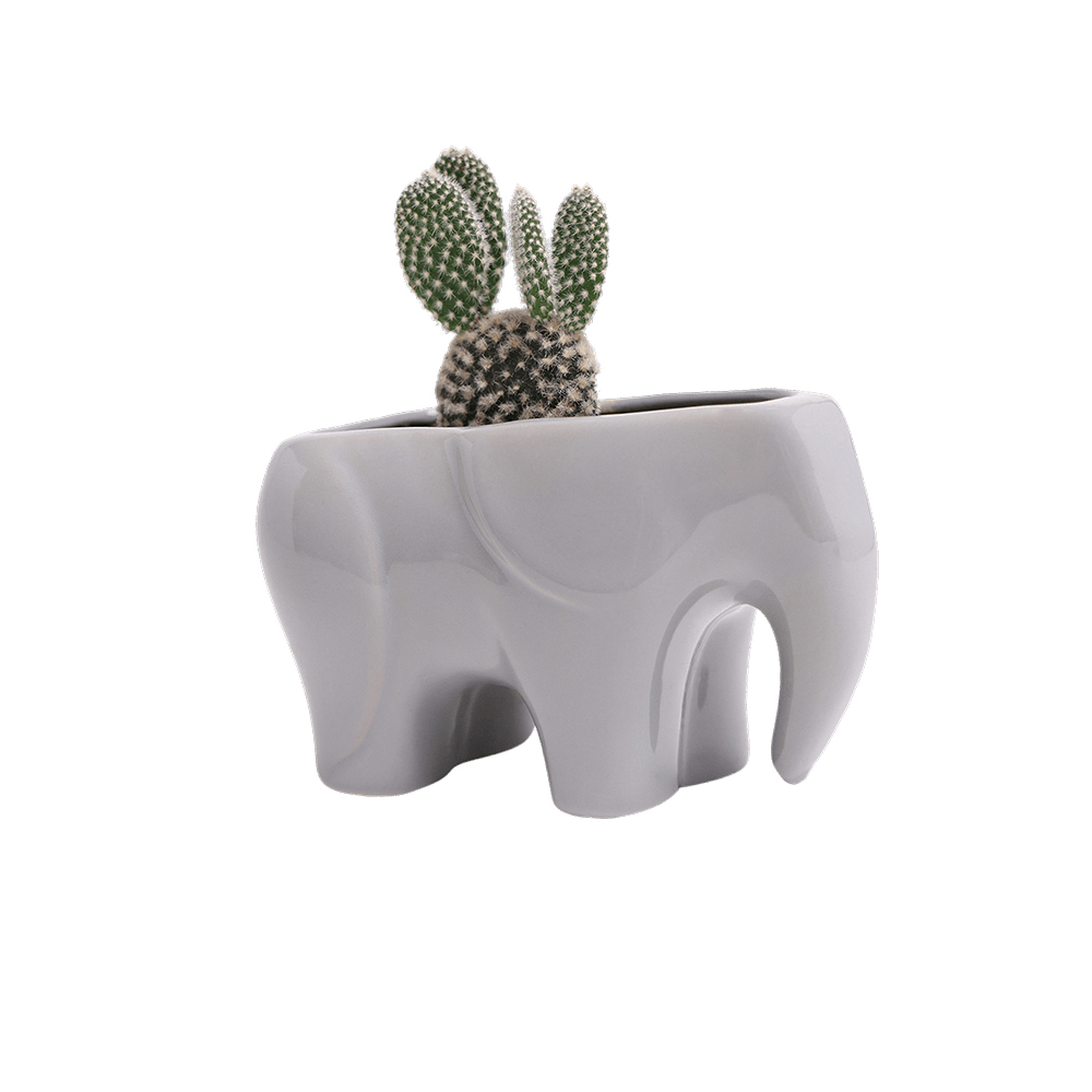 Elephant Ceramic Indoor Plant Pot For Succulents - Chive UK