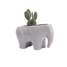 Elephant Ceramic Indoor Plant Pot For Succulents - Chive UK