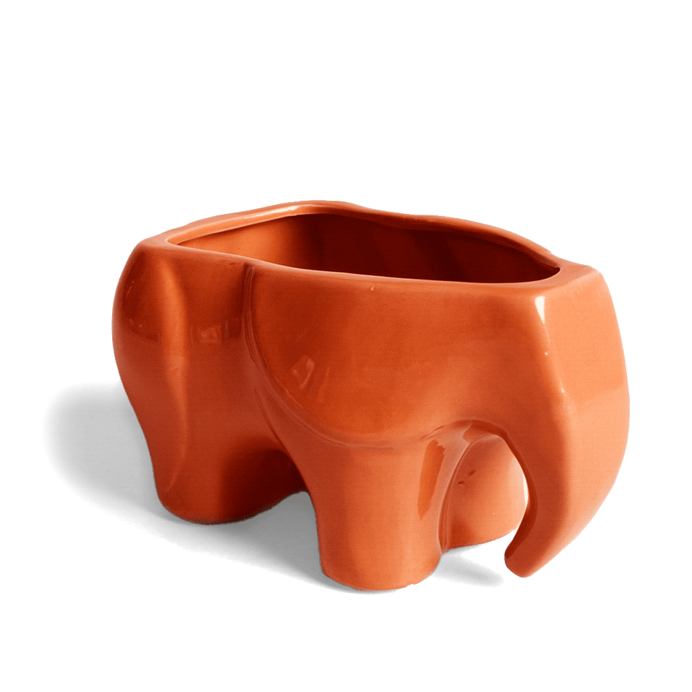 Elephant Ceramic Indoor Plant Pot For Succulents - Chive UK