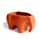 Elephant Ceramic Indoor Plant Pot For Succulents - Chive UK