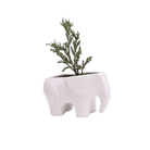 Elephant Ceramic Indoor Plant Pot For Succulents - Chive UK