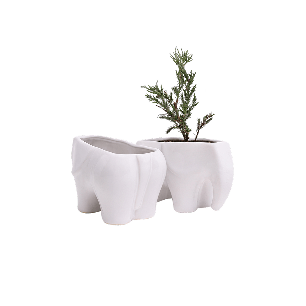 Elephant Ceramic Indoor Plant Pot For Succulents - Chive UK