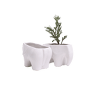 Elephant Ceramic Indoor Plant Pot For Succulents - Chive UK