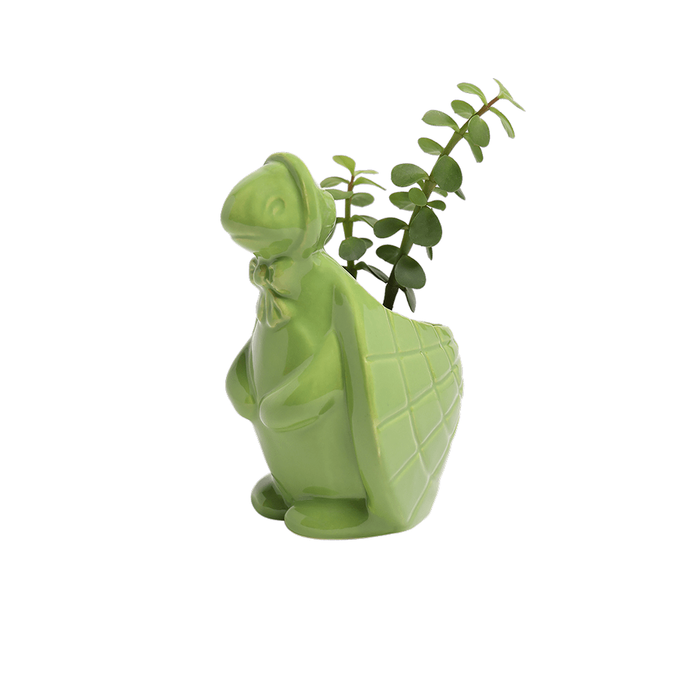 Turtle Ceramic Indoor Plant Pot For Succulents - Chive UK