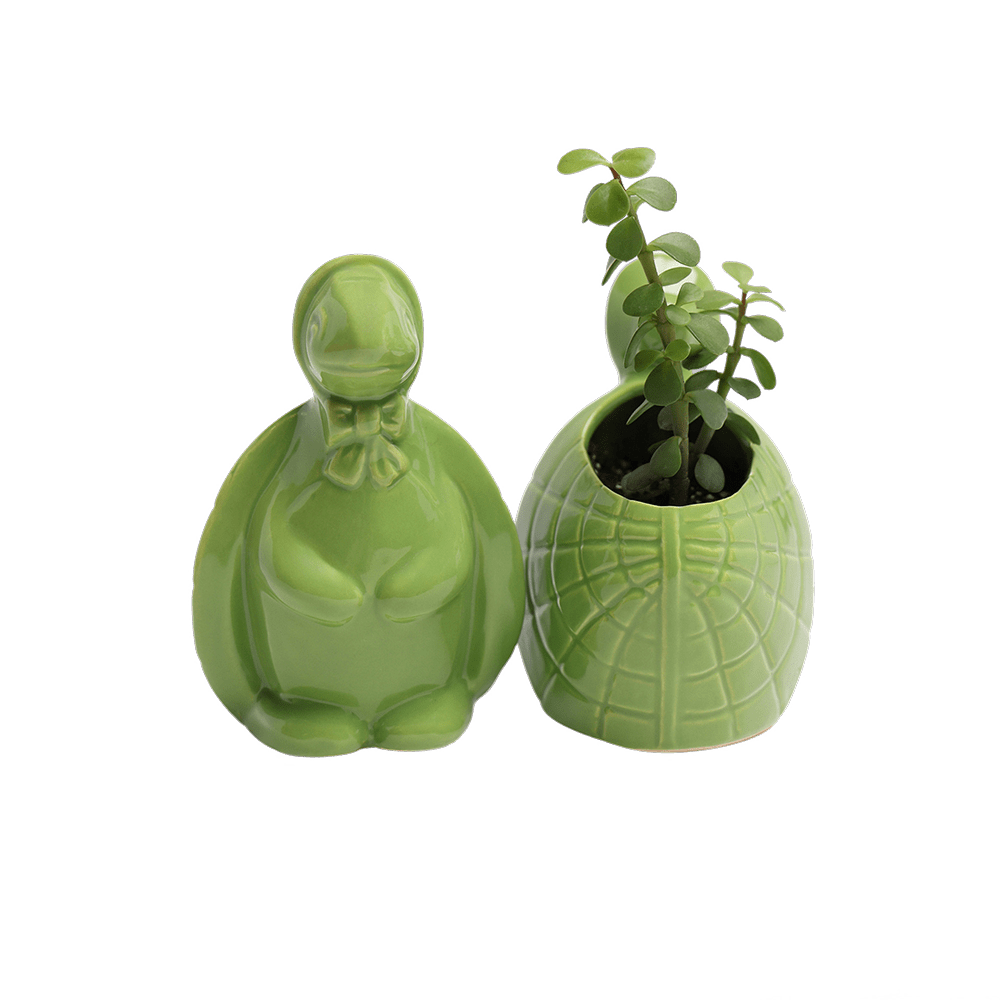 Turtle Ceramic Indoor Plant Pot For Succulents - Chive UK