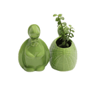 Turtle Ceramic Indoor Plant Pot For Succulents - Chive UK