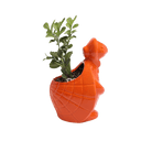 Turtle Ceramic Indoor Plant Pot For Succulents - Chive UK