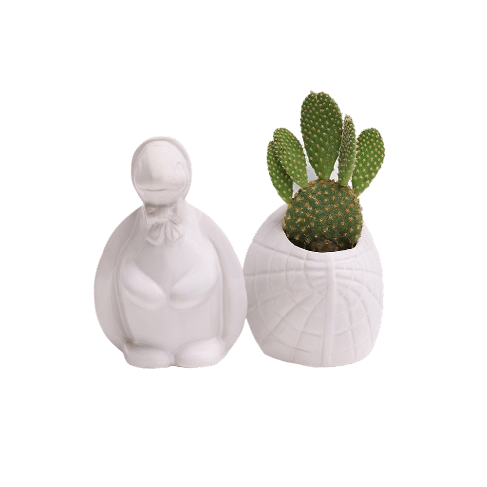 Turtle Ceramic Indoor Plant Pot For Succulents - Chive UK