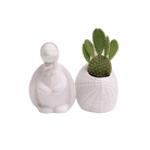 Turtle Ceramic Indoor Plant Pot For Succulents - Chive UK