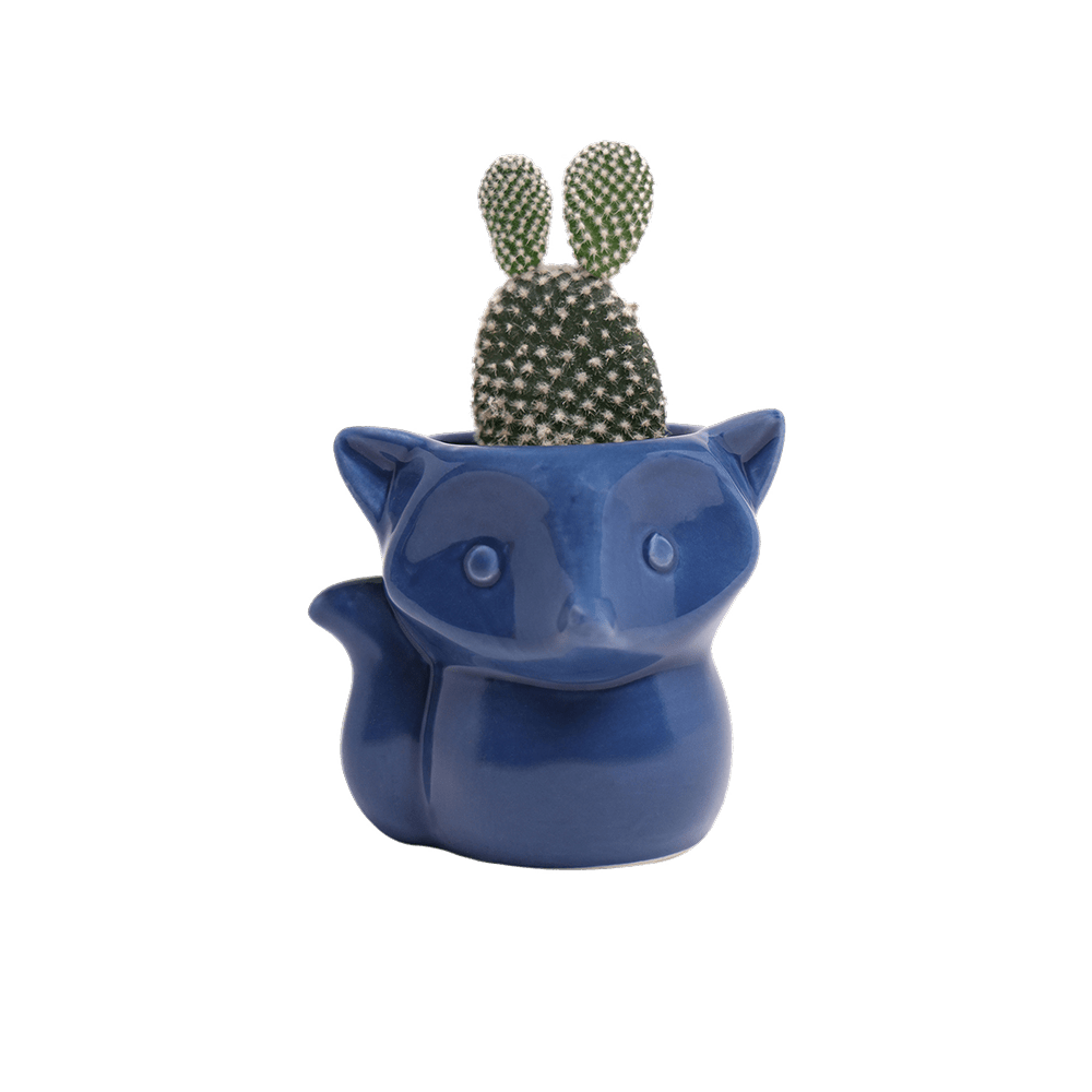 Fox Ceramic Indoor Plant Pot For Succulents - Chive UK