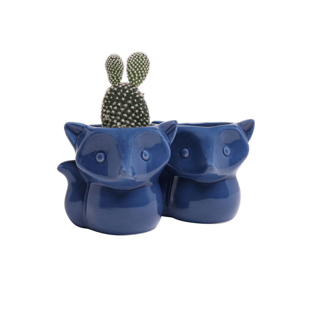 Fox Ceramic Indoor Plant Pot For Succulents - Chive UK