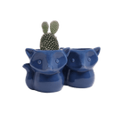 Fox Ceramic Indoor Plant Pot For Succulents - Chive UK