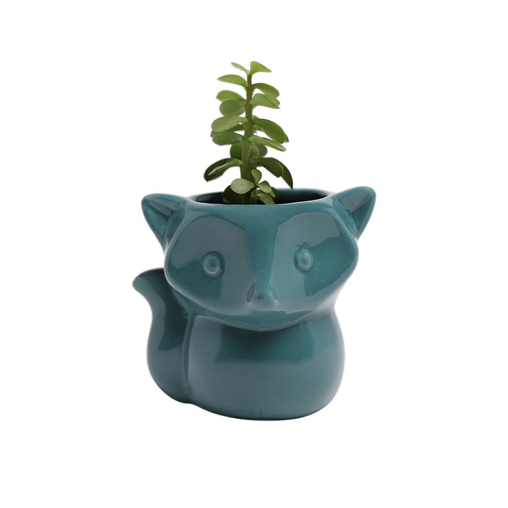 Fox Ceramic Indoor Plant Pot For Succulents - Chive UK