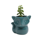 Fox Ceramic Indoor Plant Pot For Succulents - Chive UK