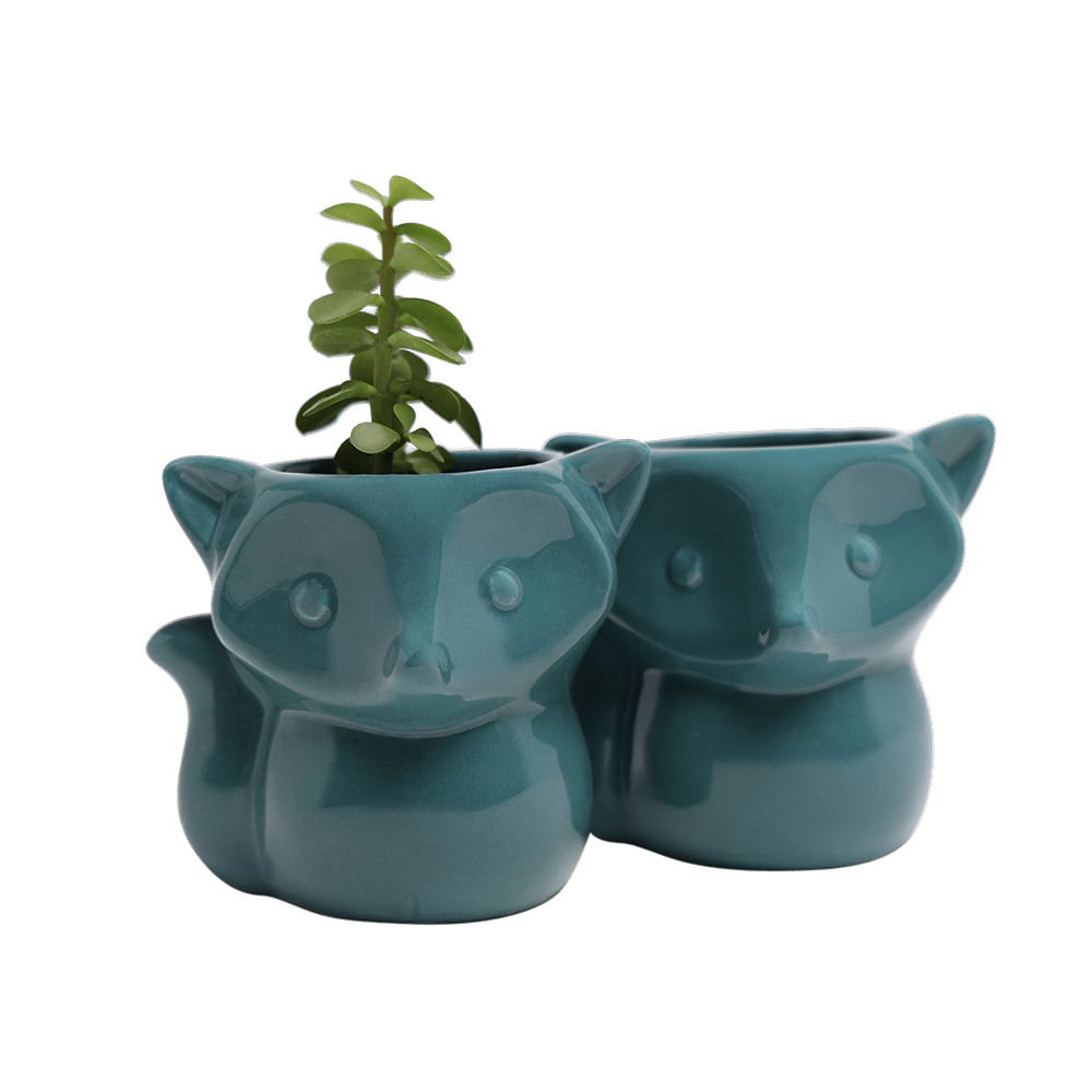 Fox Ceramic Indoor Plant Pot For Succulents - Chive UK