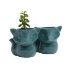 Fox Ceramic Indoor Plant Pot For Succulents - Chive UK