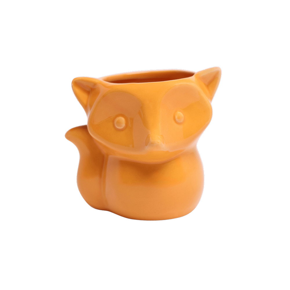 Fox Ceramic Indoor Plant Pot For Succulents - Chive UK