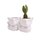 Fox Ceramic Indoor Plant Pot For Succulents - Chive UK