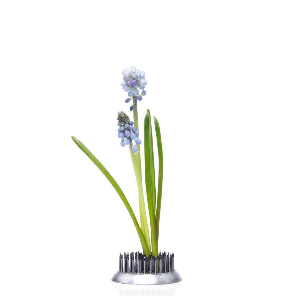 Kenzan Metal Floral Frogs For Ikebana - Chive UK