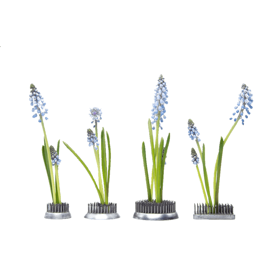 Kenzan Metal Floral Frogs For Ikebana - Chive UK