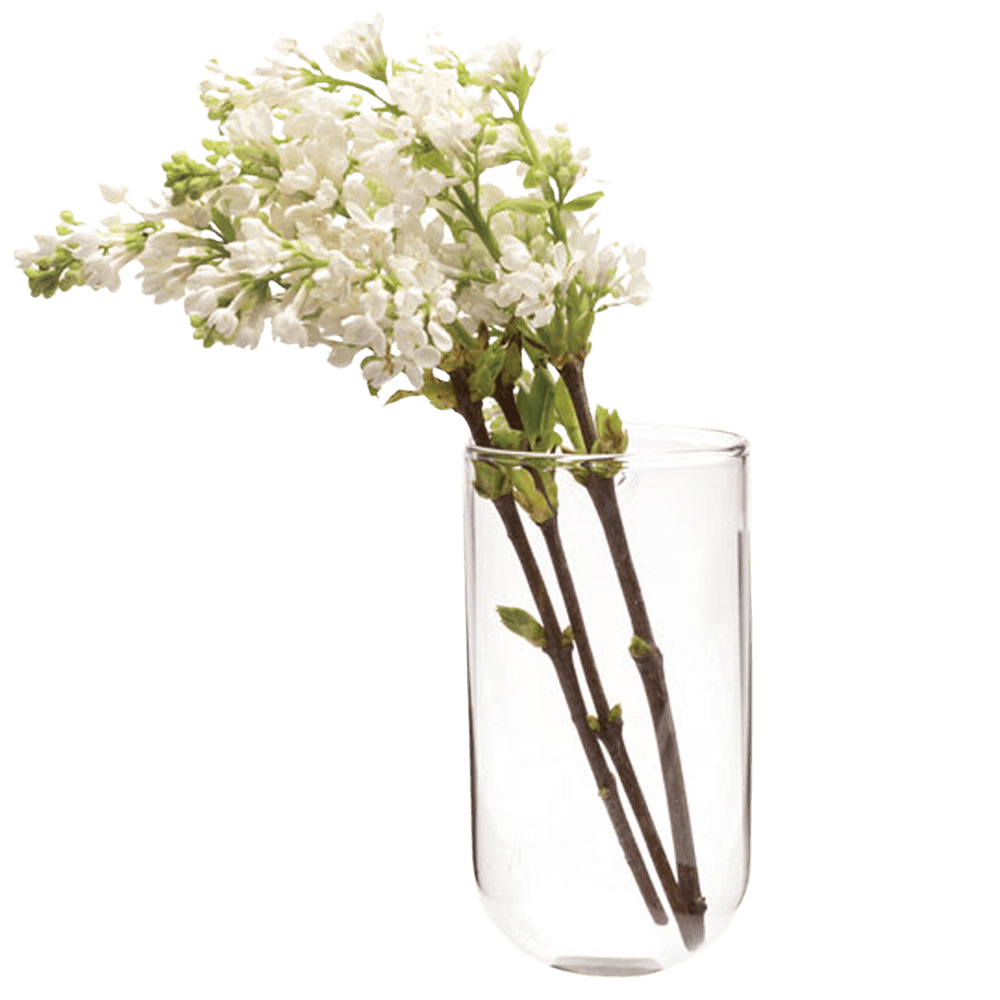 Wall Cup Glass Modern Clear Flower Vase - Chive UK