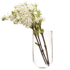 Wall Cup Glass Modern Clear Flower Vase - Chive UK