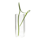 Cube Glass Modern Clear Flower Vase - Chive UK