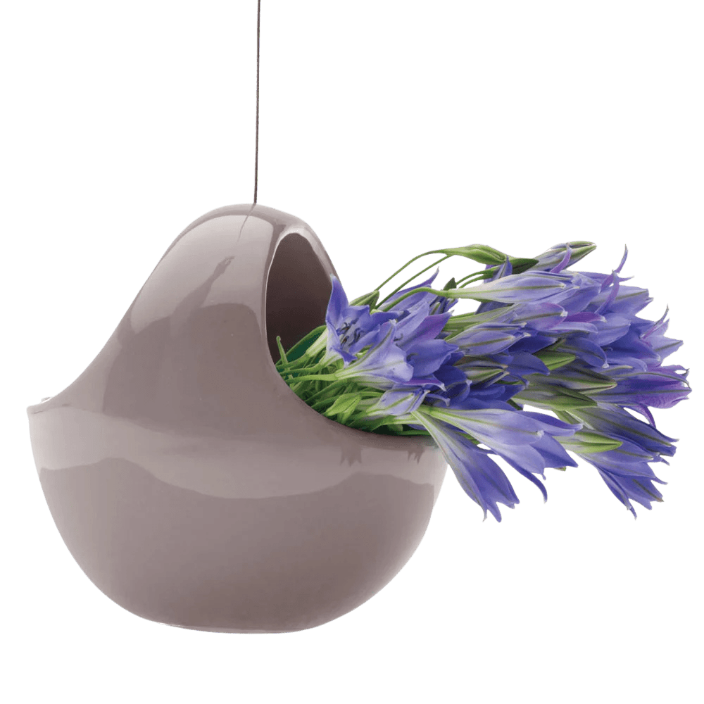 Hanging Aerium Ceramic For Succulents & Ikebana - Chive UK