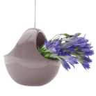 Hanging Aerium Ceramic For Succulents & Ikebana - Chive UK