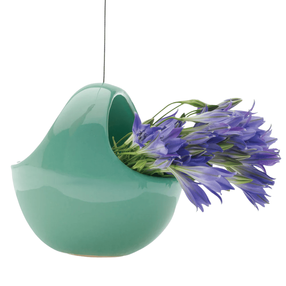 Hanging Aerium Ceramic For Succulents & Ikebana - Chive UK