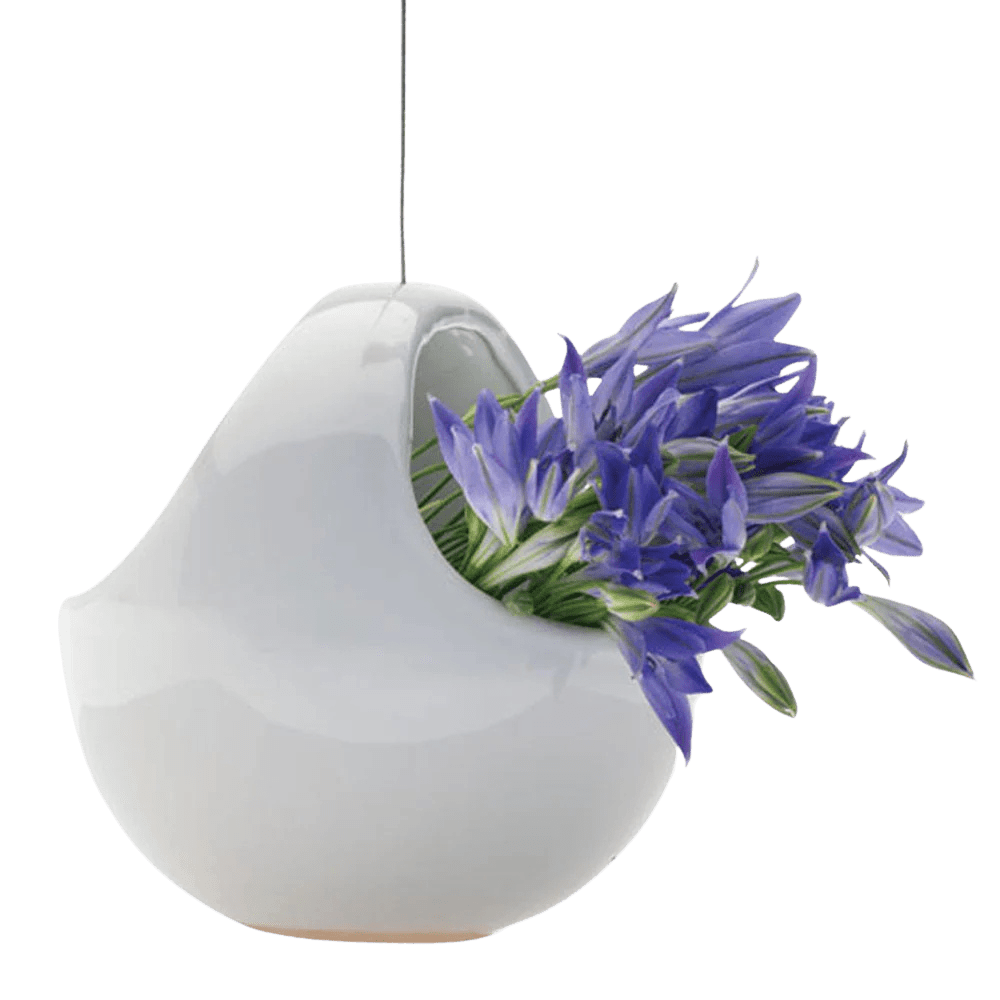 Hanging Aerium Ceramic For Succulents & Ikebana - Chive UK