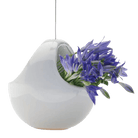 Hanging Aerium Ceramic For Succulents & Ikebana - Chive UK