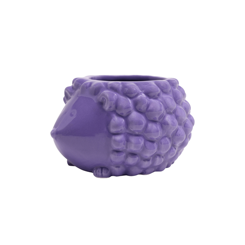 Hedgehog Ceramic Indoor Plant Pot For Succulents - Chive UK