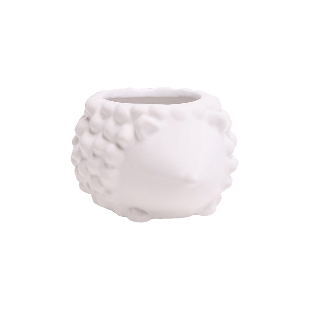 Hedgehog Ceramic Indoor Plant Pot For Succulents - Chive UK