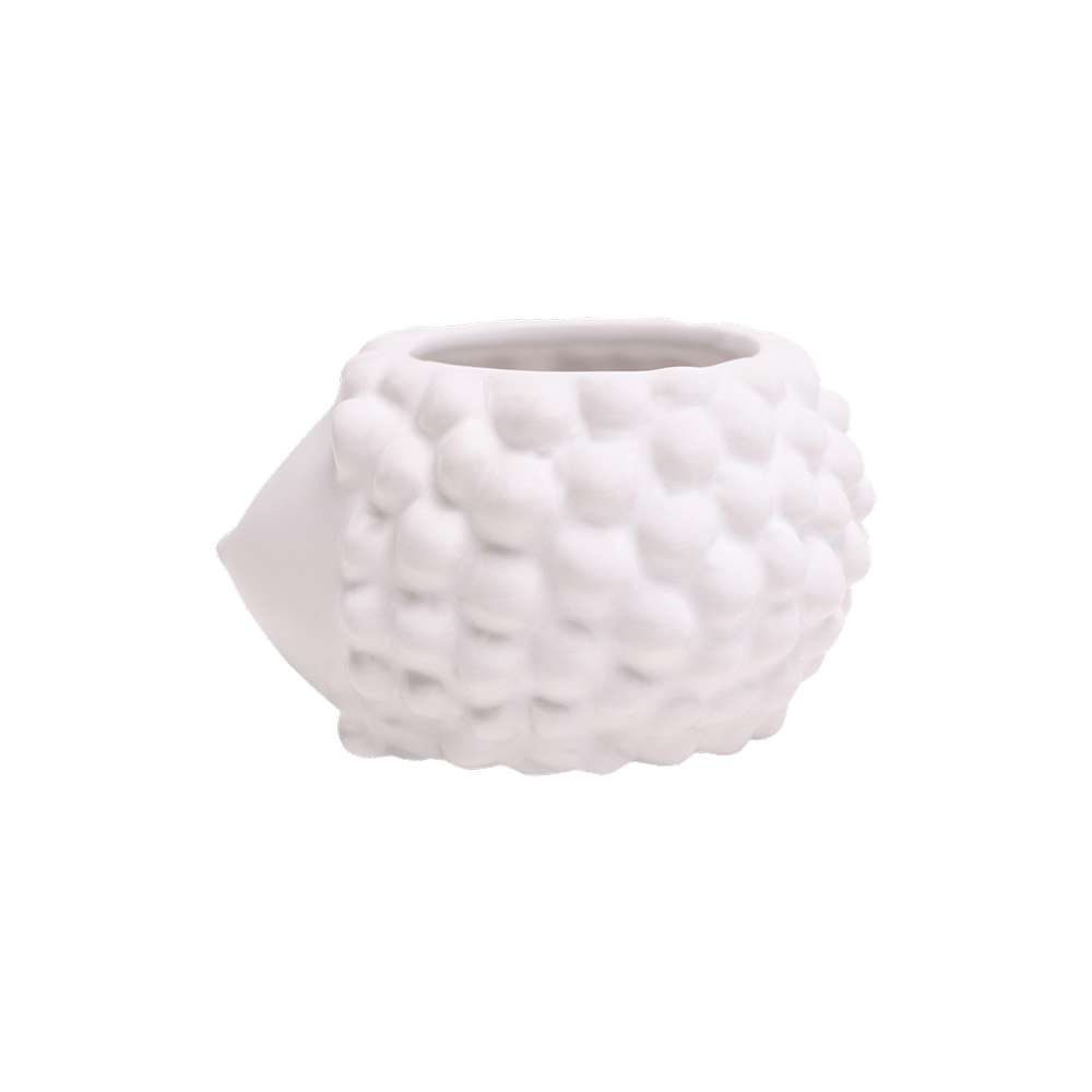 Hedgehog Ceramic Indoor Plant Pot For Succulents - Chive UK