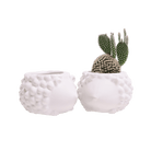 Hedgehog Ceramic Indoor Plant Pot For Succulents - Chive UK