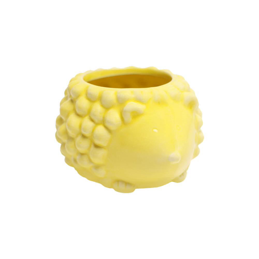 Hedgehog Ceramic Indoor Plant Pot For Succulents - Chive UK