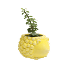 Hedgehog Ceramic Indoor Plant Pot For Succulents - Chive UK