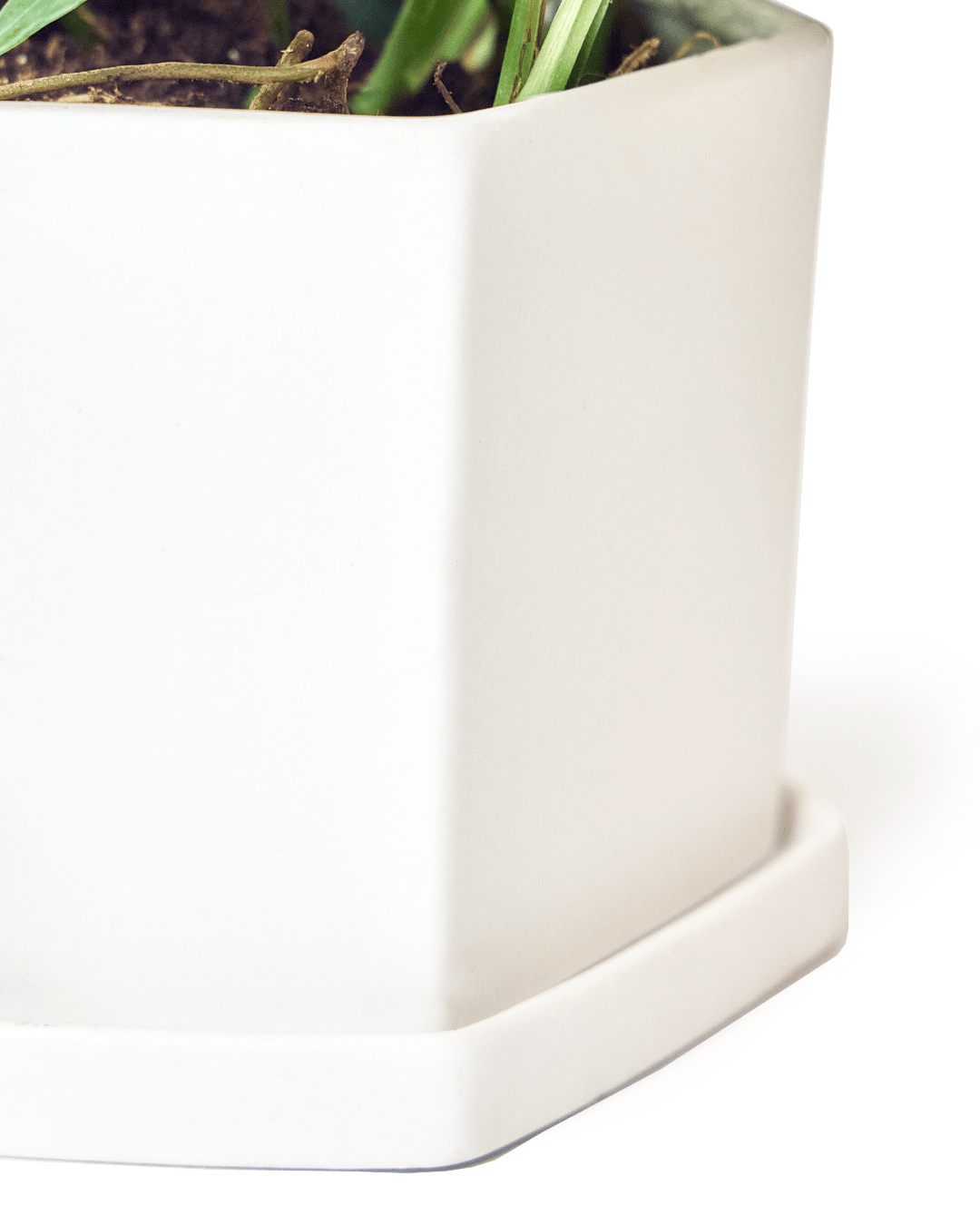 Hexi Porcelain Pot With Drainage Hole - Chive UK