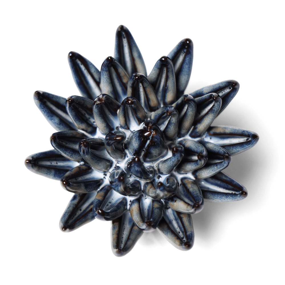 Japan Ceramic Flower Black Cactus Flower - Chive UK