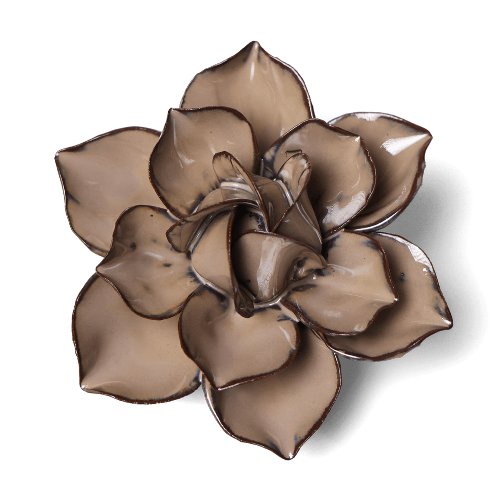 Japan Ceramic Flower Brown Cactus Flower - Chive UK