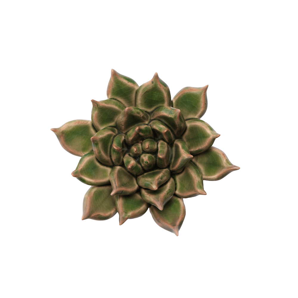 Japan Ceramic Flower Green Succulent - Chive UK