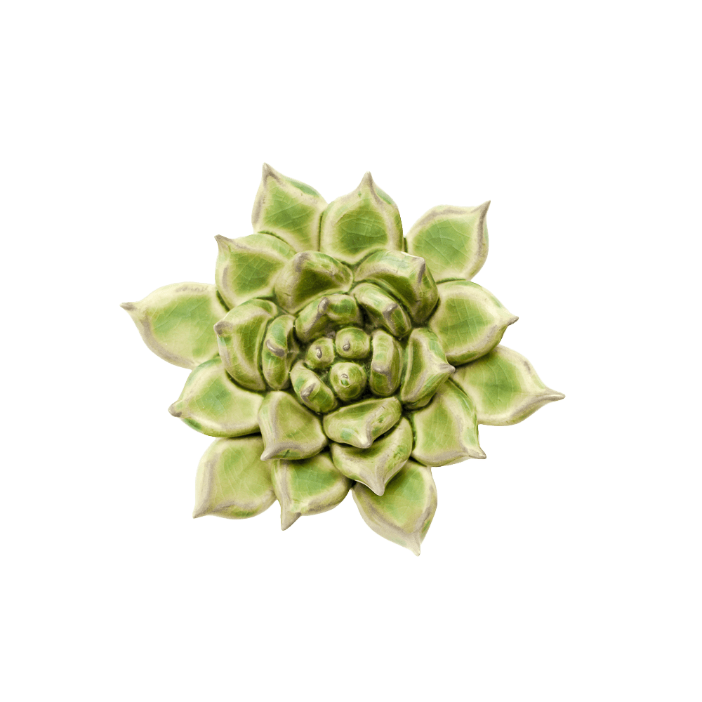 Japan Ceramic Flower Green Succulent - Chive UK