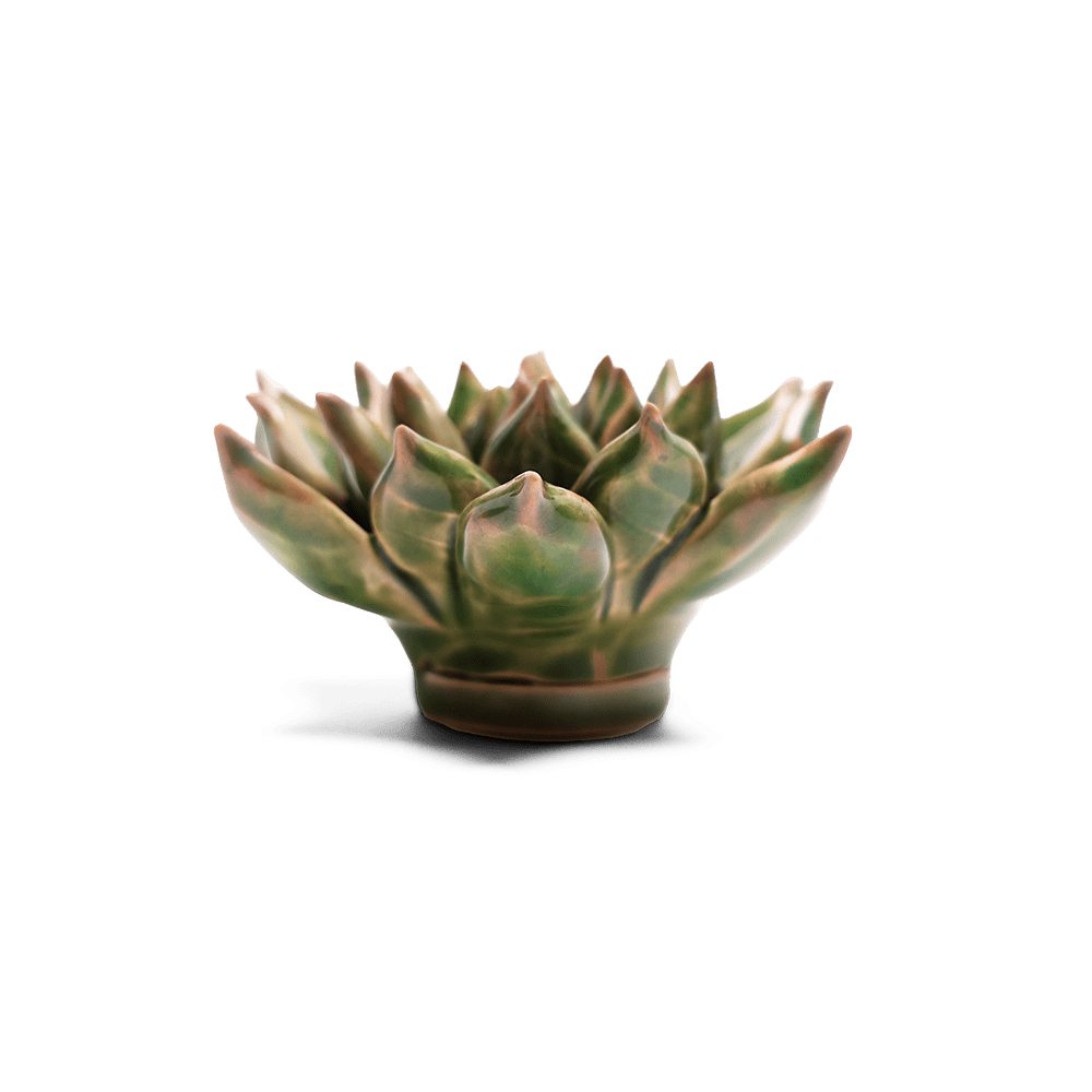 Japan Ceramic Flower Green Succulent - Chive UK